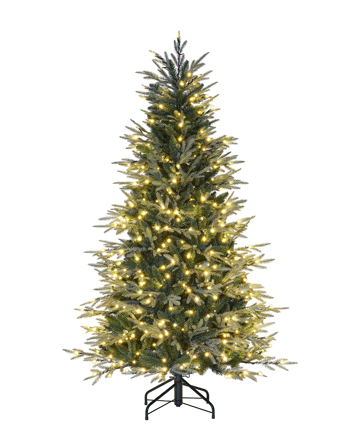 _0018_Lexington Warm