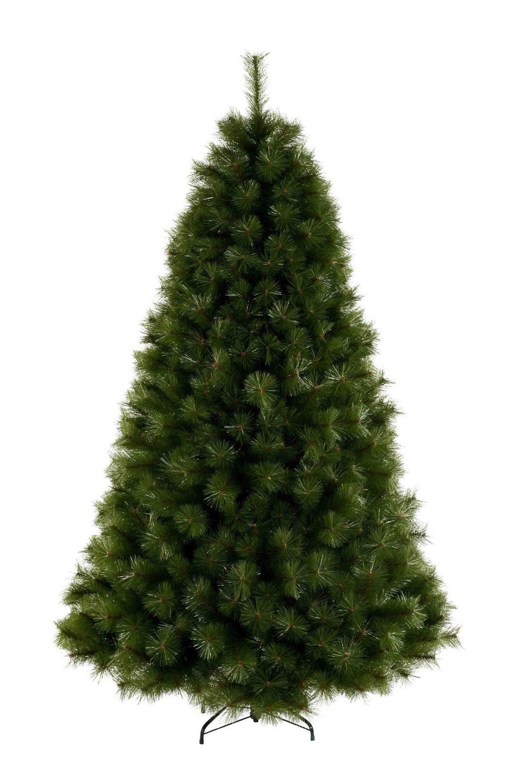 180cm Scotland Fir (Website)