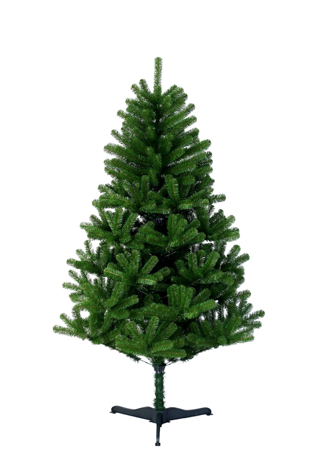 185cm Balsam Fir (Website)