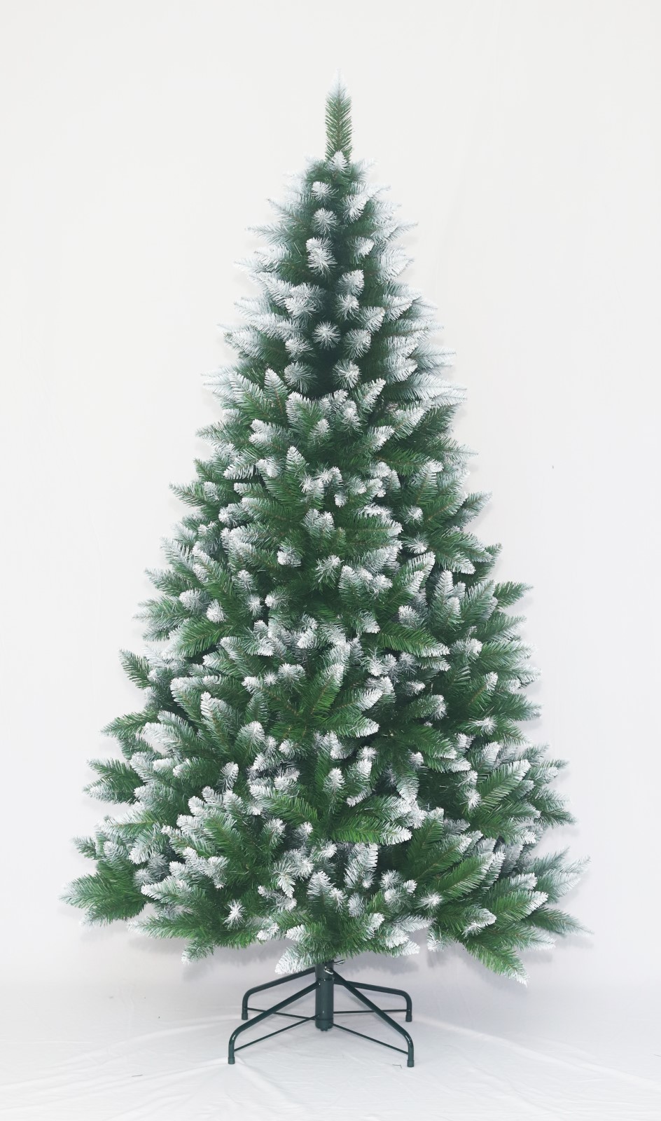 2.1M Allison Forsted