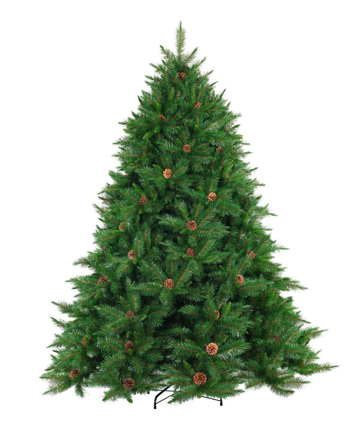 225cm Brunswick + Cones (Website)