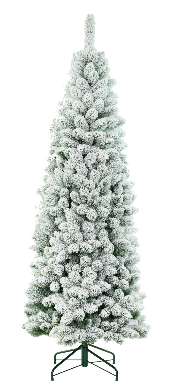 Baltic Spruce with Snow