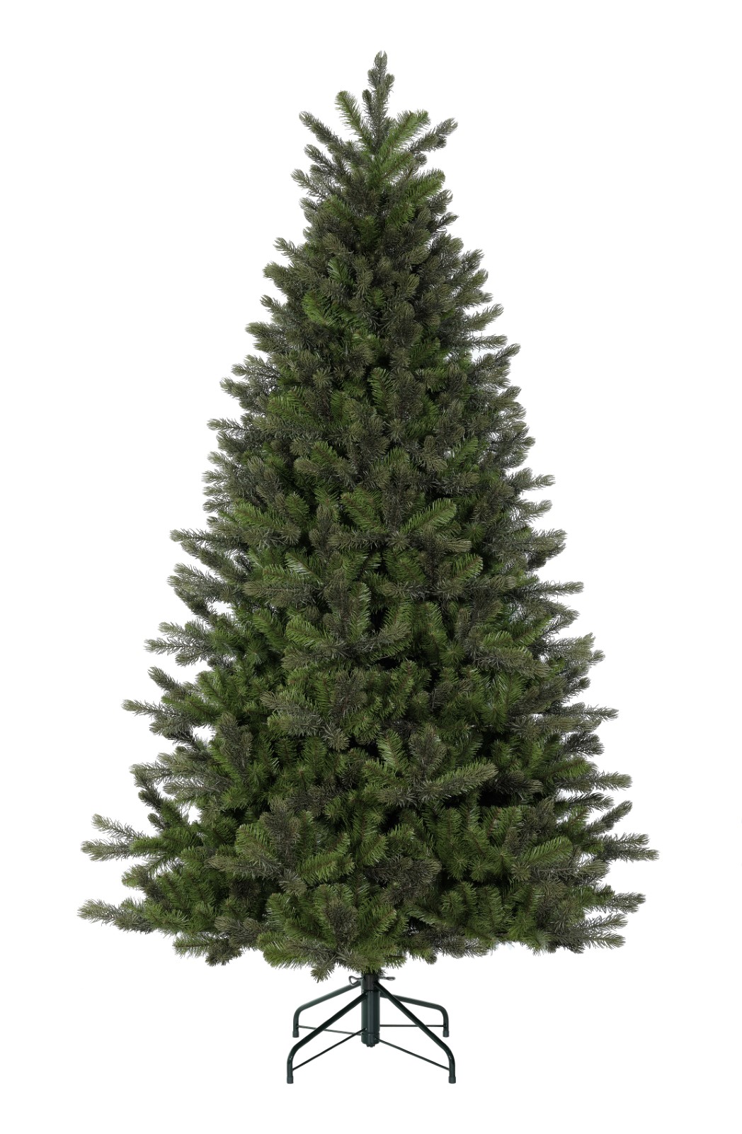 Carolina Nonlit (Website)