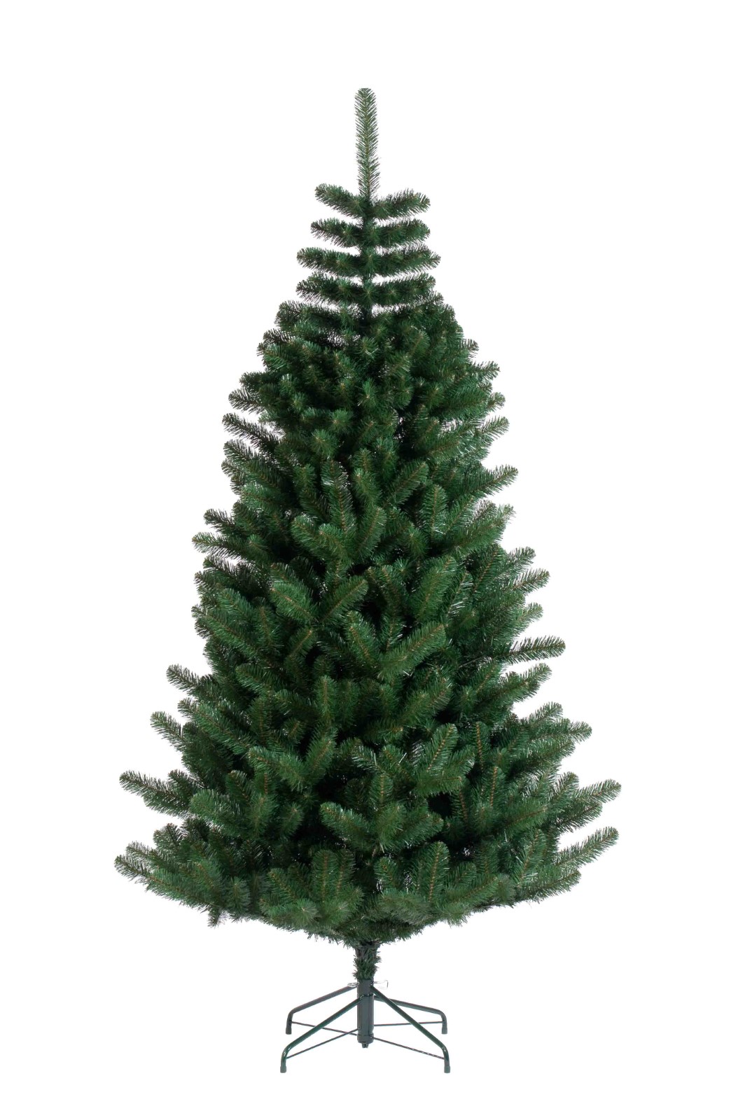 English Fir (Website)