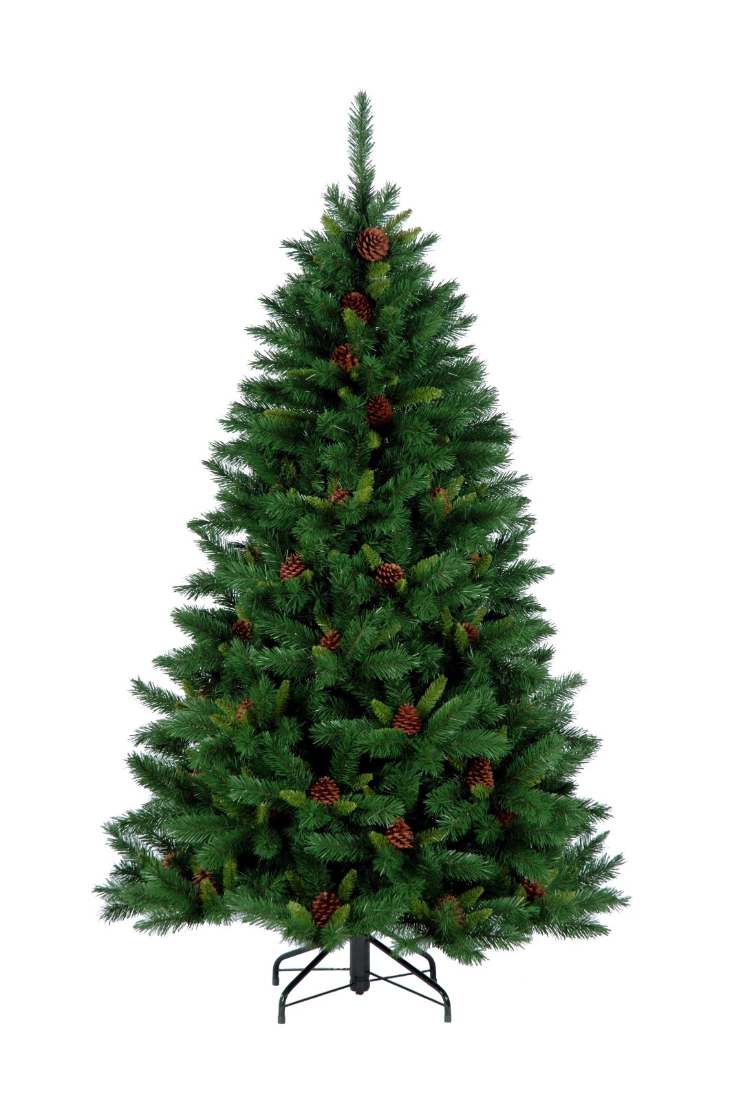 Springfield+cones 6' PS (Website)