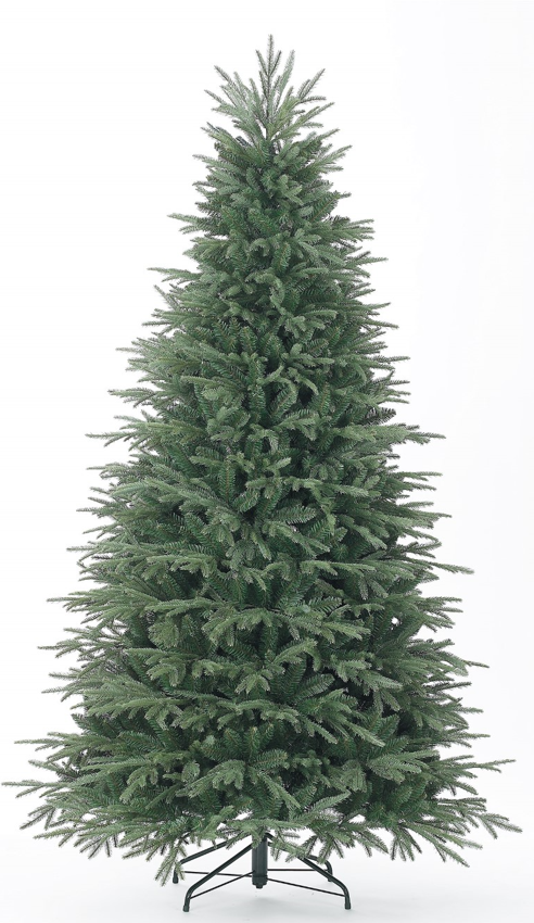 lexington tree nonlit