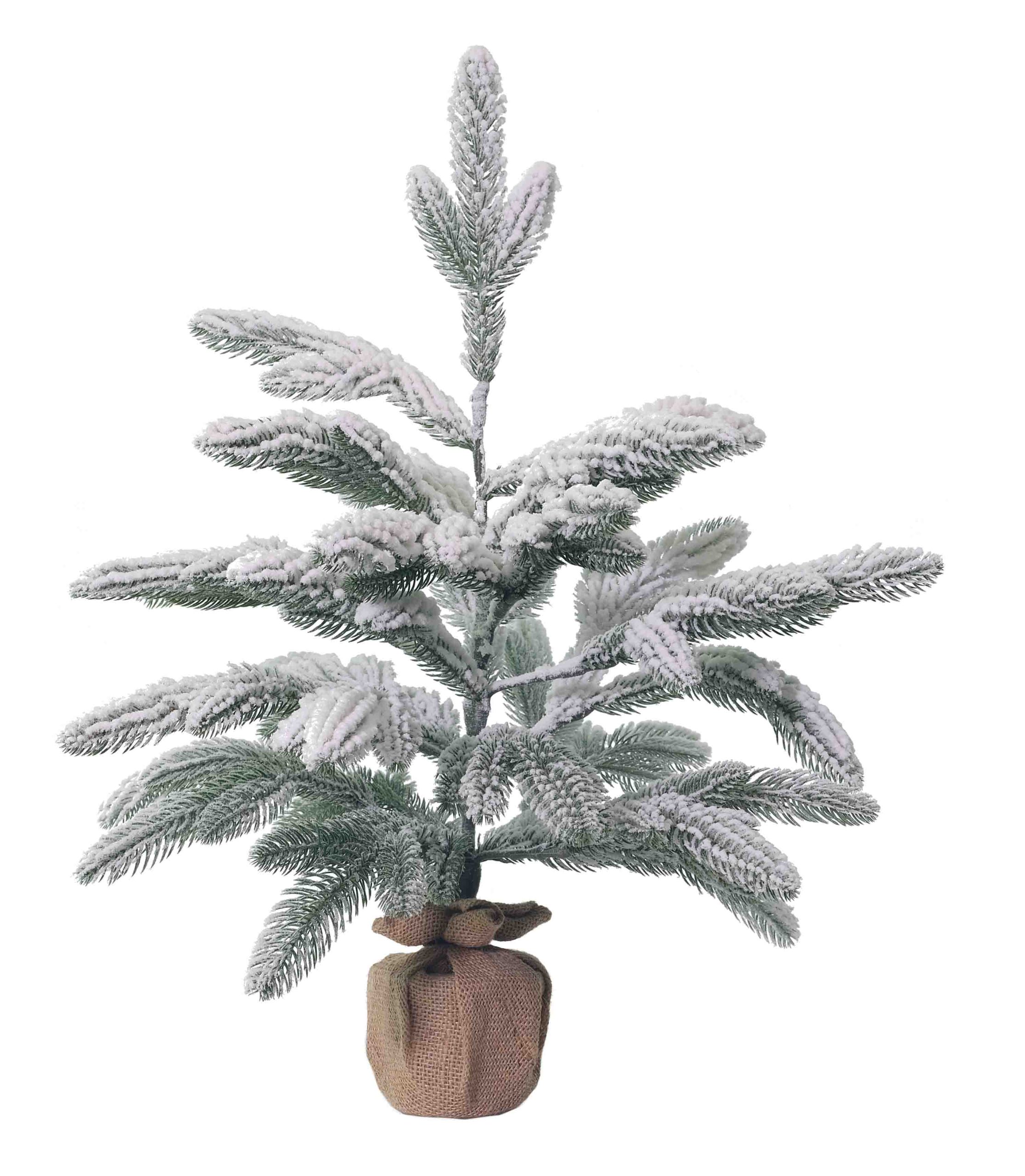 24-xxx-485S Top Snow Lo